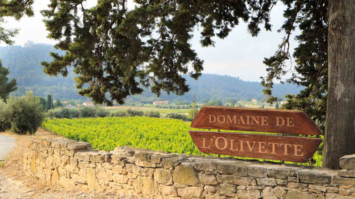 Domaine de l'Olivette