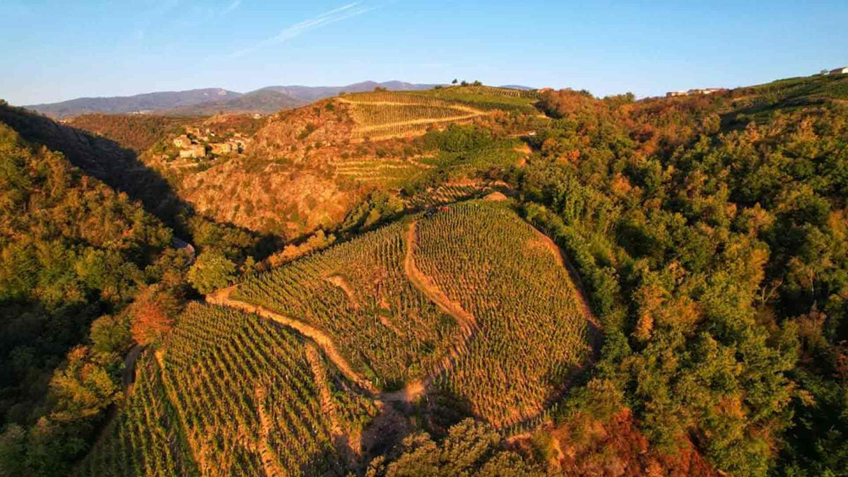 Domaine de la Favière