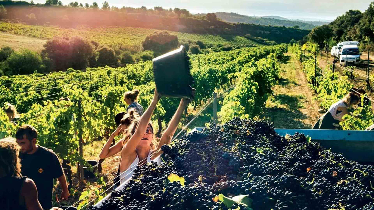 Domaine de la Grange des Pères