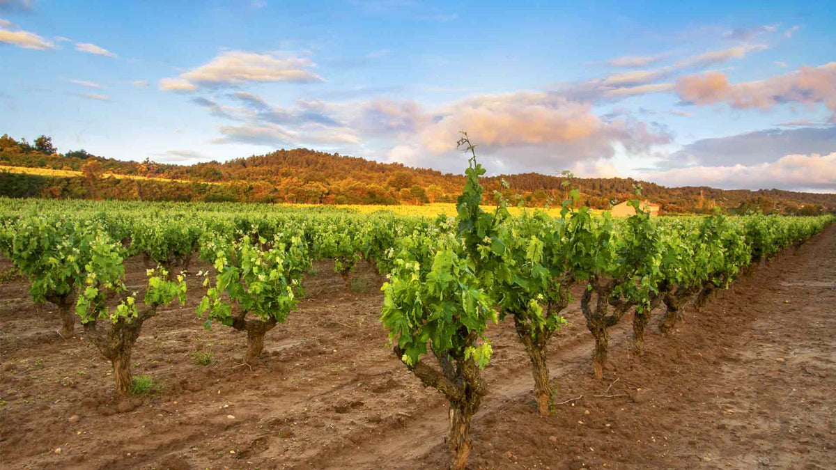 Domaine des Deux Fontaines