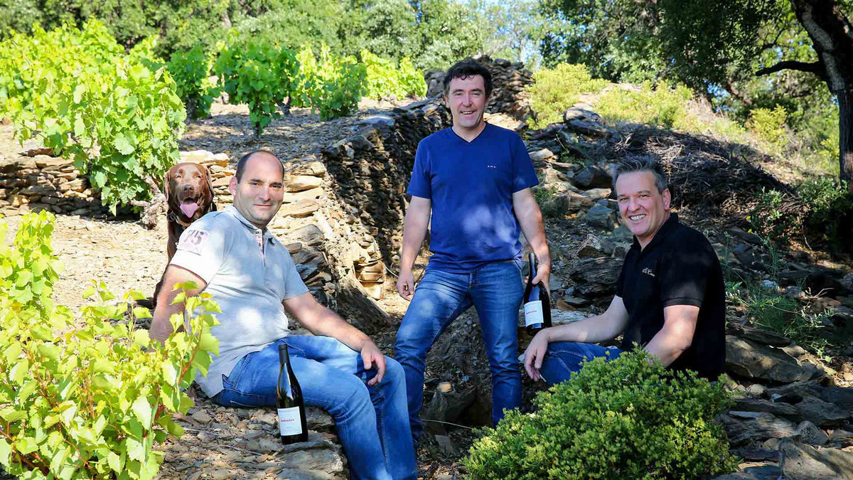 Domaine des Deux puits