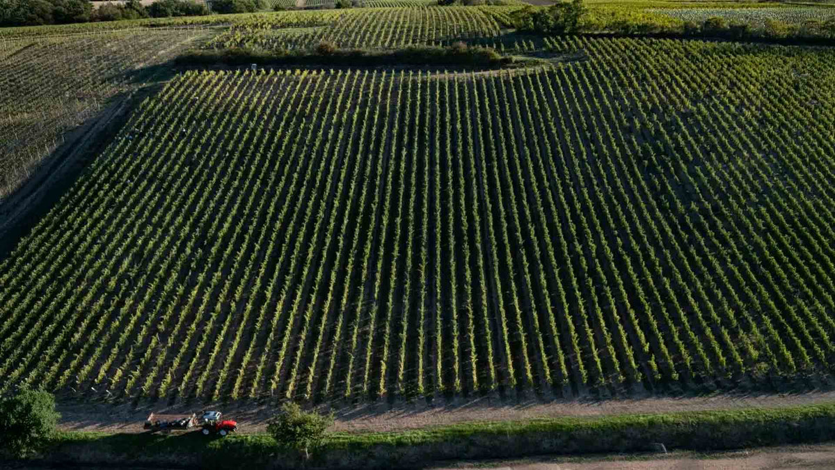 Domaine des Petits Quarts