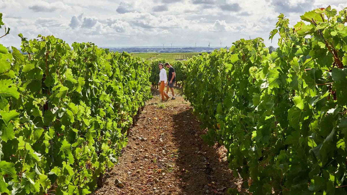 Domaine des Prés Lasses