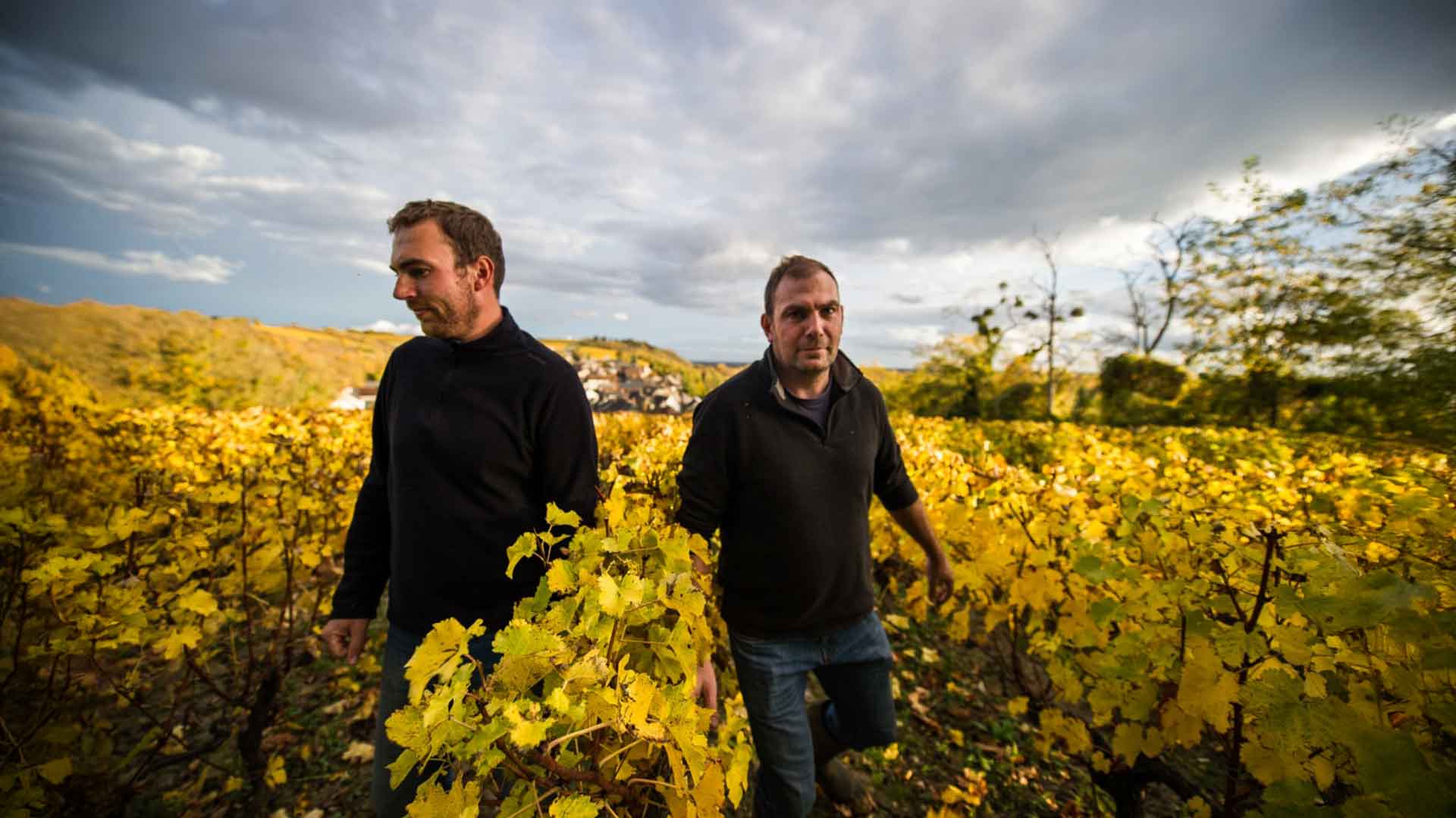 Domaine des Rabichattes Image