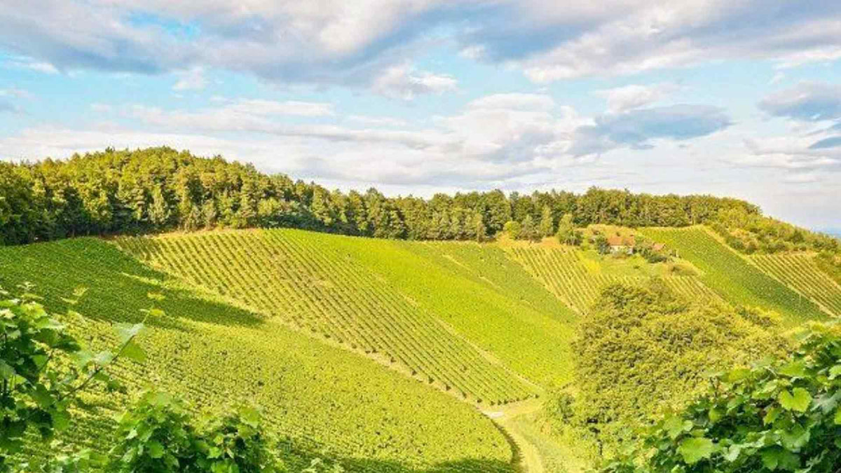 Domaine du Couroulu