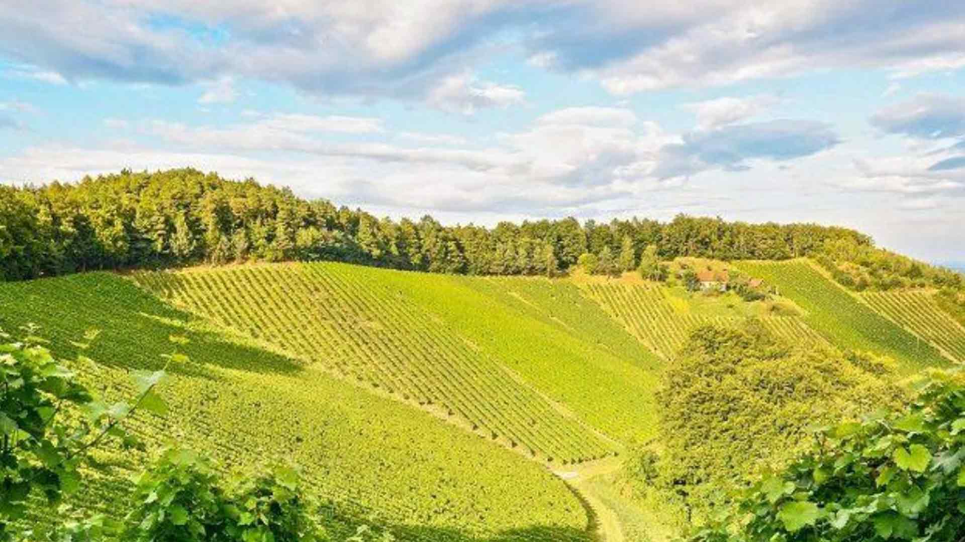 Domaine du Couroulu Image