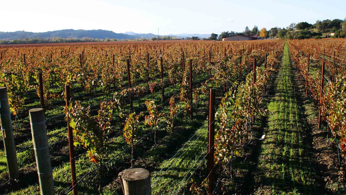 Domaine du Tremblay