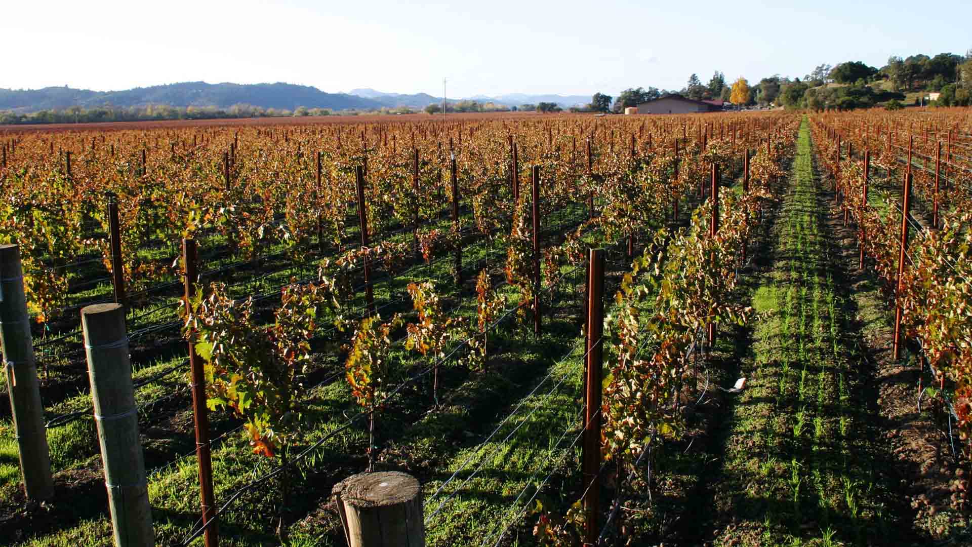 Domaine du Tremblay
