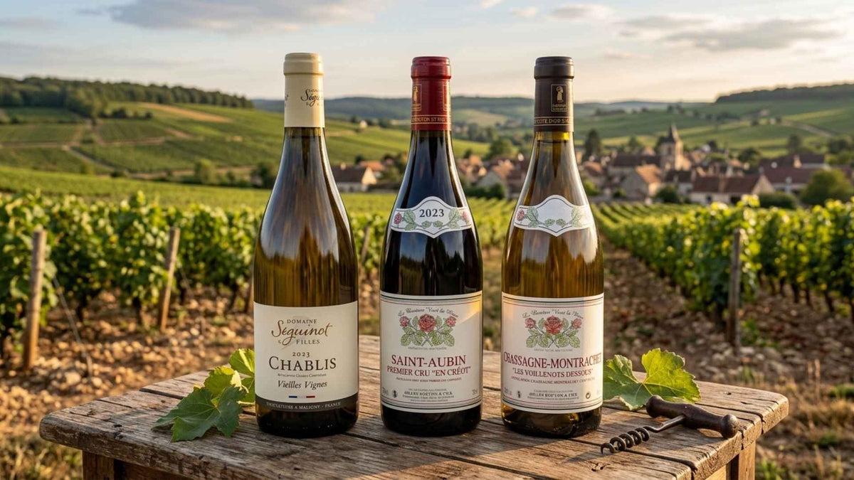 Meilleurs vins de Bourgogne Image