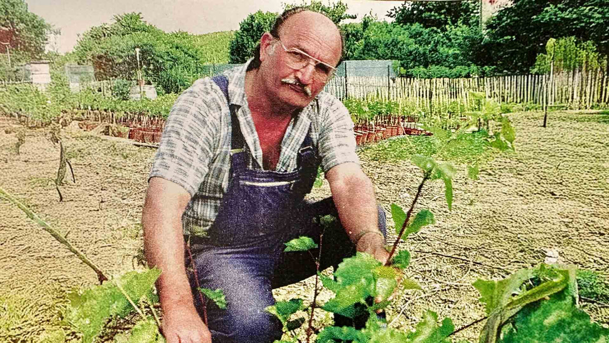 Robert Aviet