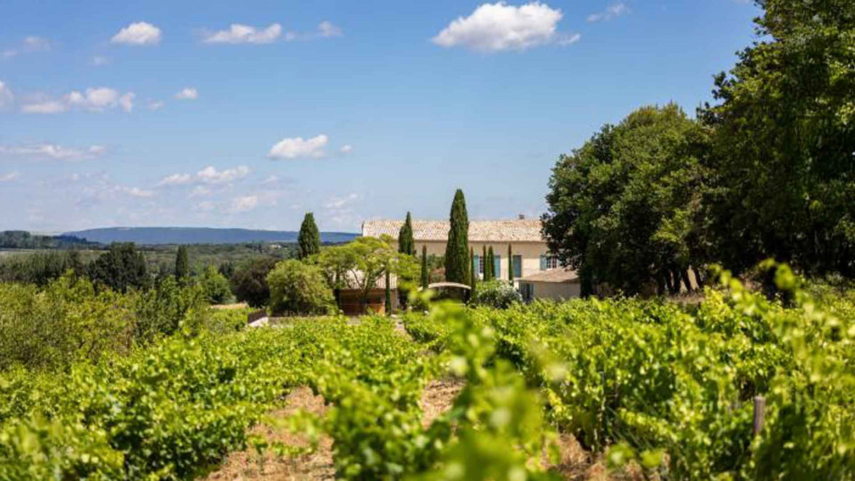 Vignobles Chirats