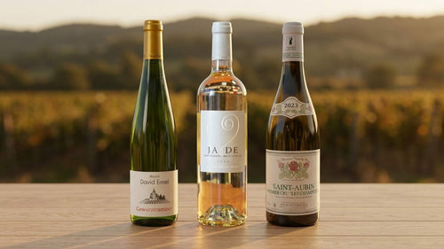 meilleur vin blanc qualité-prix