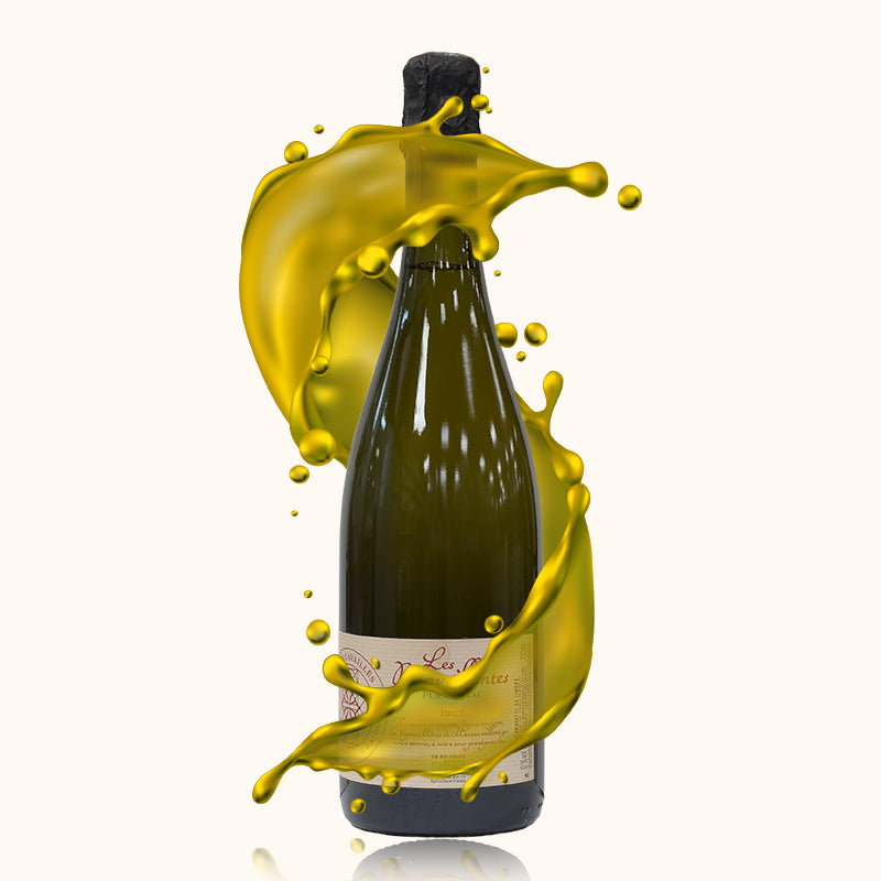 Alain Cavailles Blanquette de Limoux Les Bienveillante bouteille