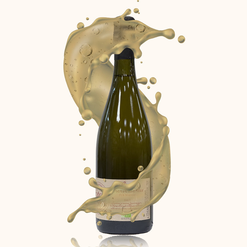 Alain Cavailles Blanquette de Limoux Les Bienveillante bouteille