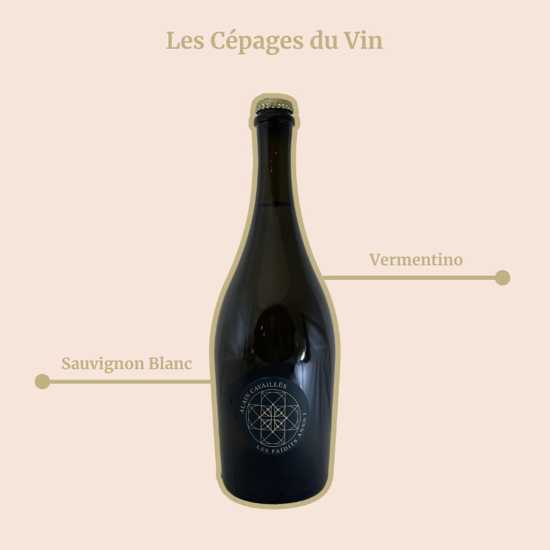 Alain Cavailles Les Faidits Anno Cépages