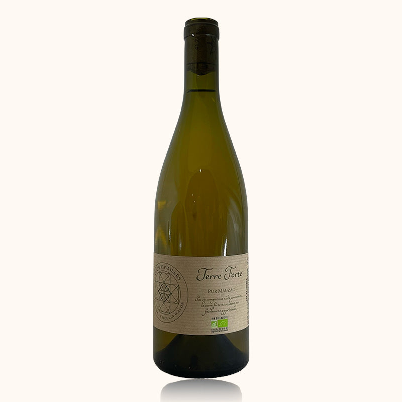 Alain Cavailles Terre Forte Blanc