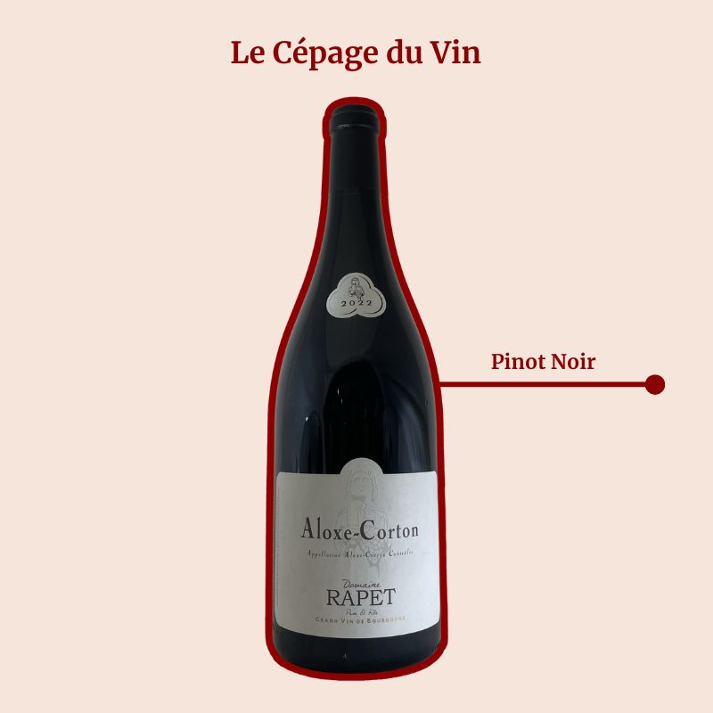 Aloxe Corton Domaine Rapet Père & Fils Magnum Rouge Cépage