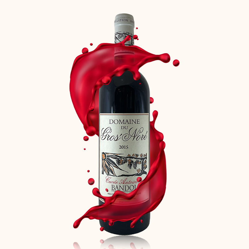 Bandol Domaine du Gros Noré Cuvée Antoinette 2015 bouteille