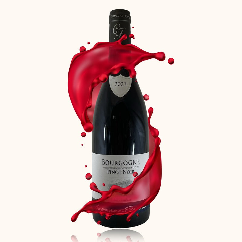 Bougogne Domaine Capuano Ferreri Rouge bouteille