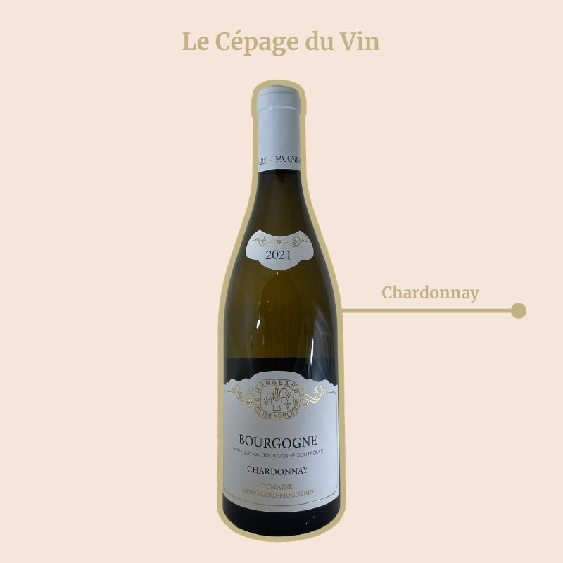 Bourgogne Domaine Mongeard-Mugneret Cépage