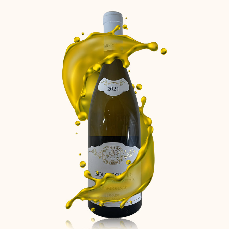 Bourgogne Domaine Mongeard-Mugneret bouteille