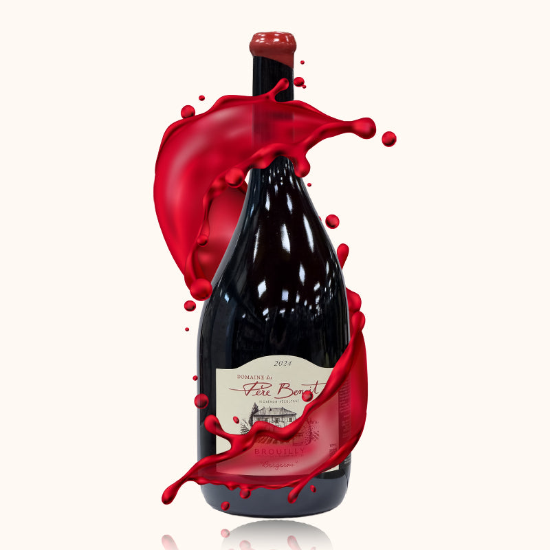 Brouilly Père Benoit Bergeron Magnum bouteille