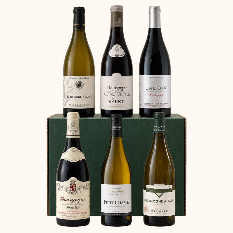 Carton Découverte Bourgogne