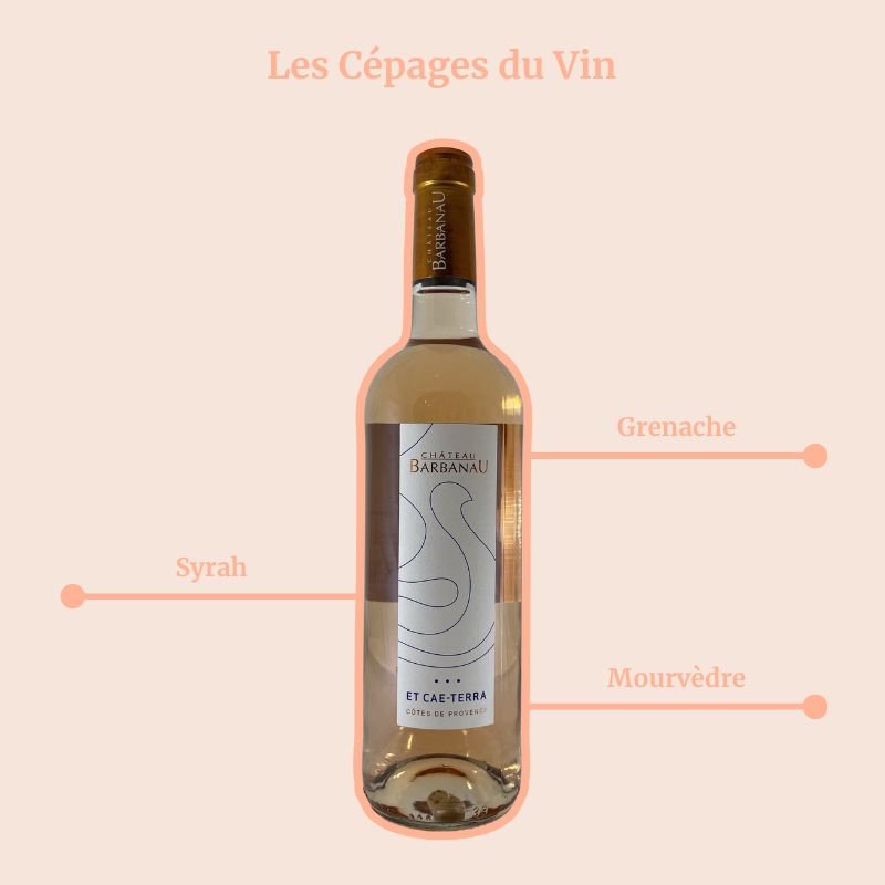 Château Barbanau et Cae-Terra Rosé Cépages