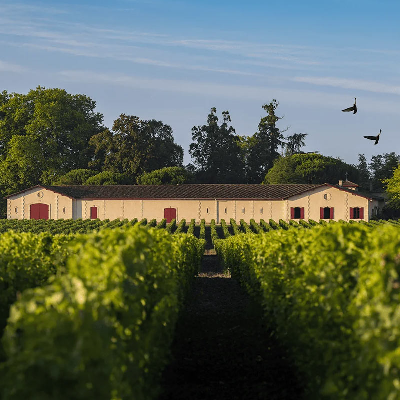 Château Brown