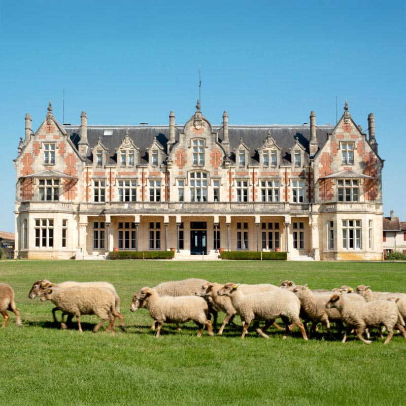 Château Cantenac Brown