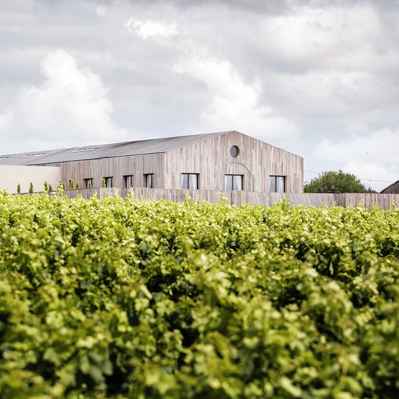 Château Clerc Milon