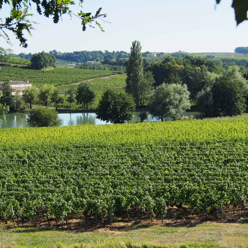 Château Clos de Boüard