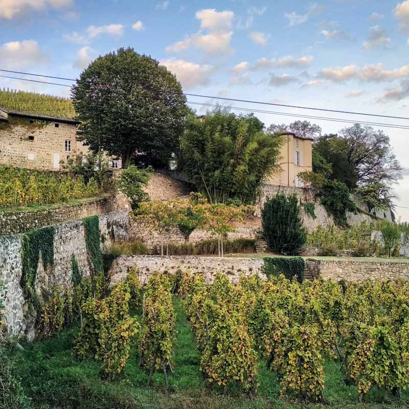Château Grillet