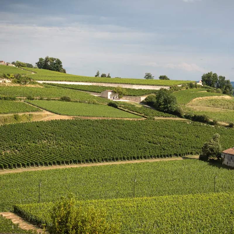 Château Harmonie produit Image