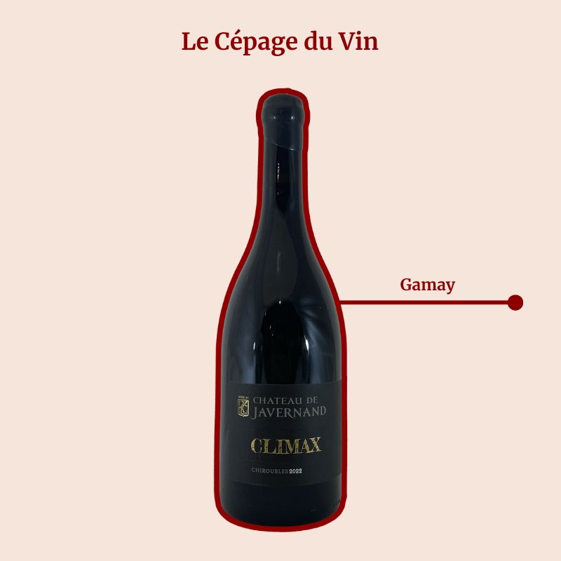 Château Javernand Climax Cépage