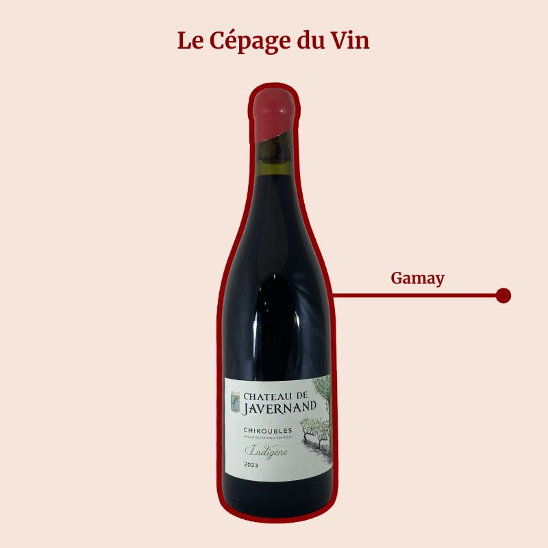 Château Javernand Indigène Cépage