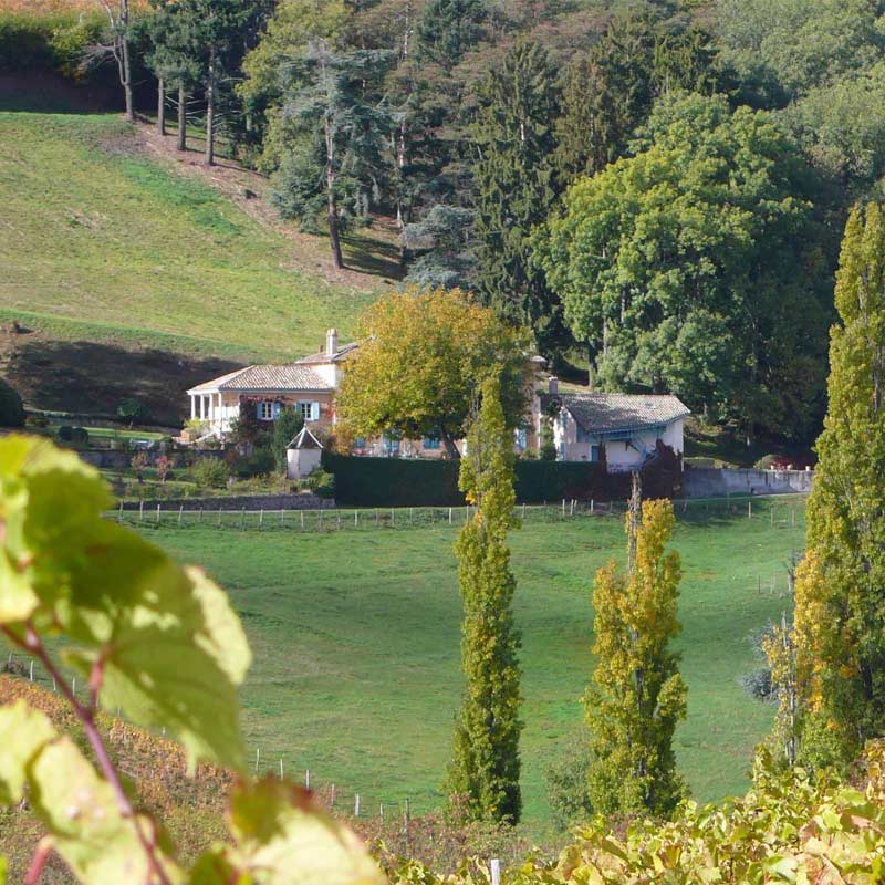 Château Javernand