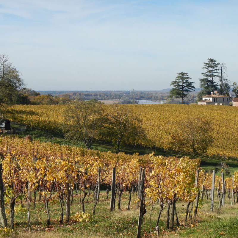 Château La Nère produit Image