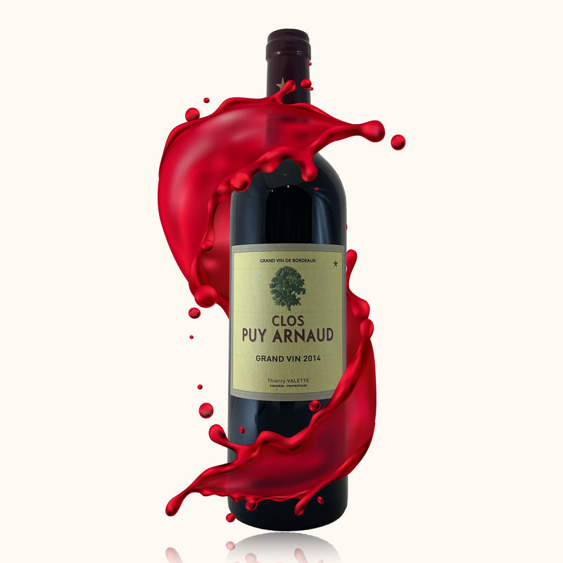 Château Puy Arnaud 2014 bouteille