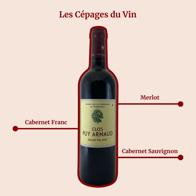 Château Puy Arnaud 2019 Cépages