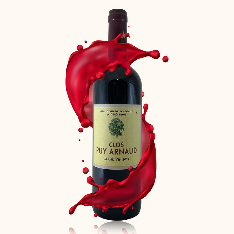 Château Puy Arnaud 2019 bouteille