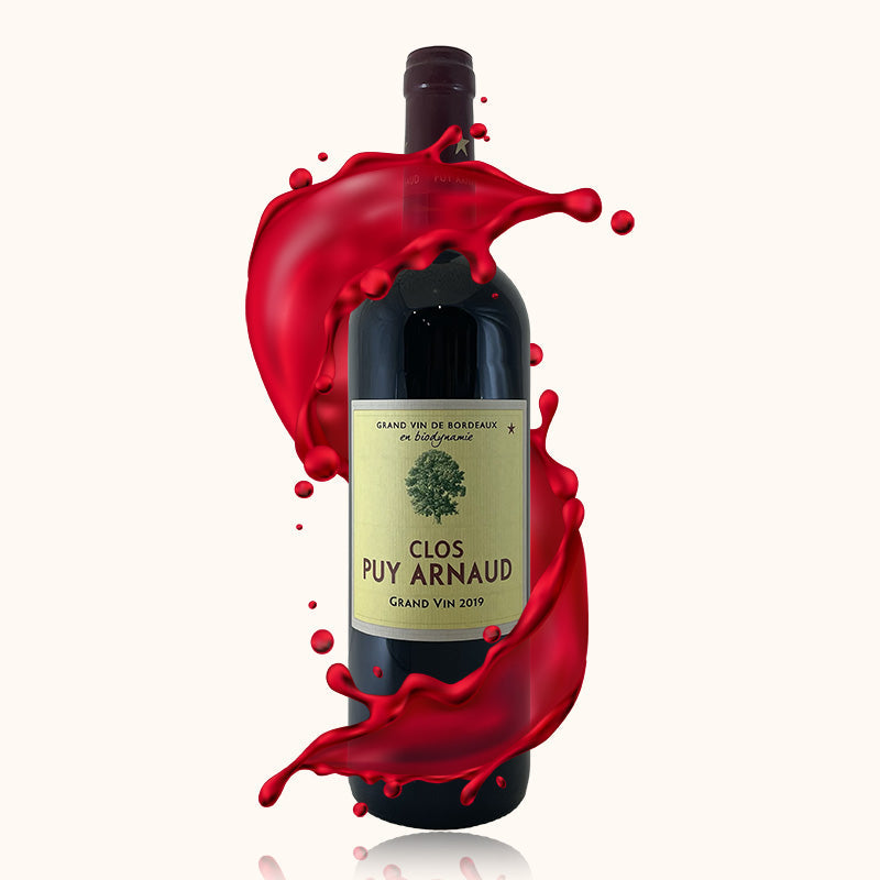 Château Puy Arnaud 2019 bouteille