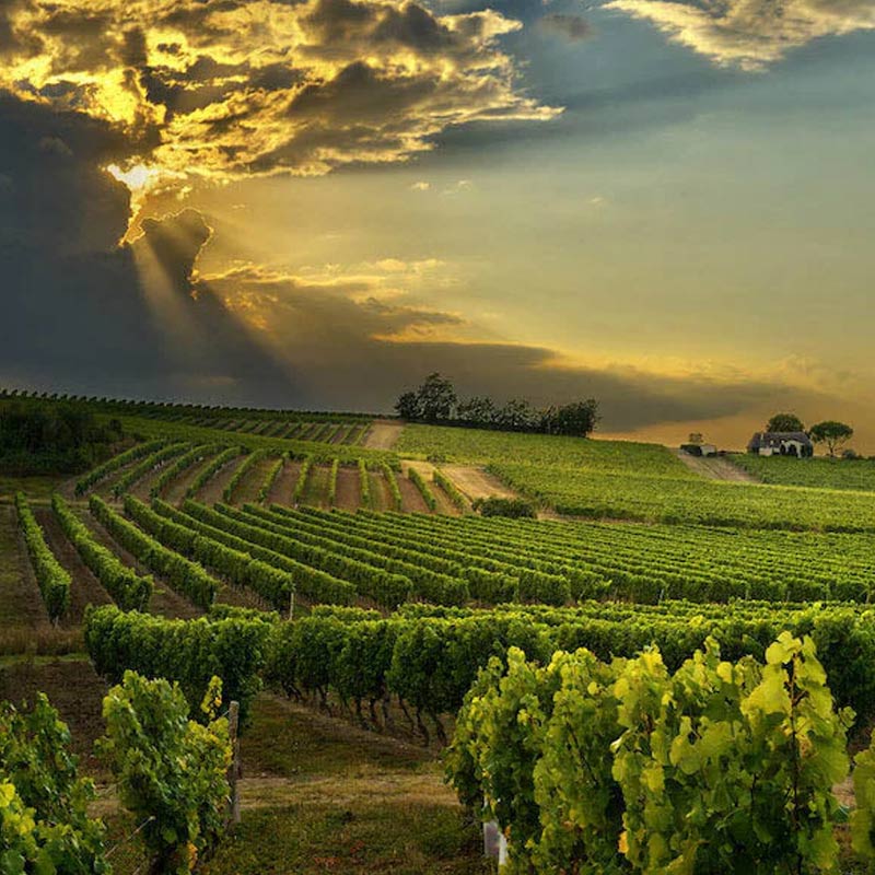 Château Trébiac