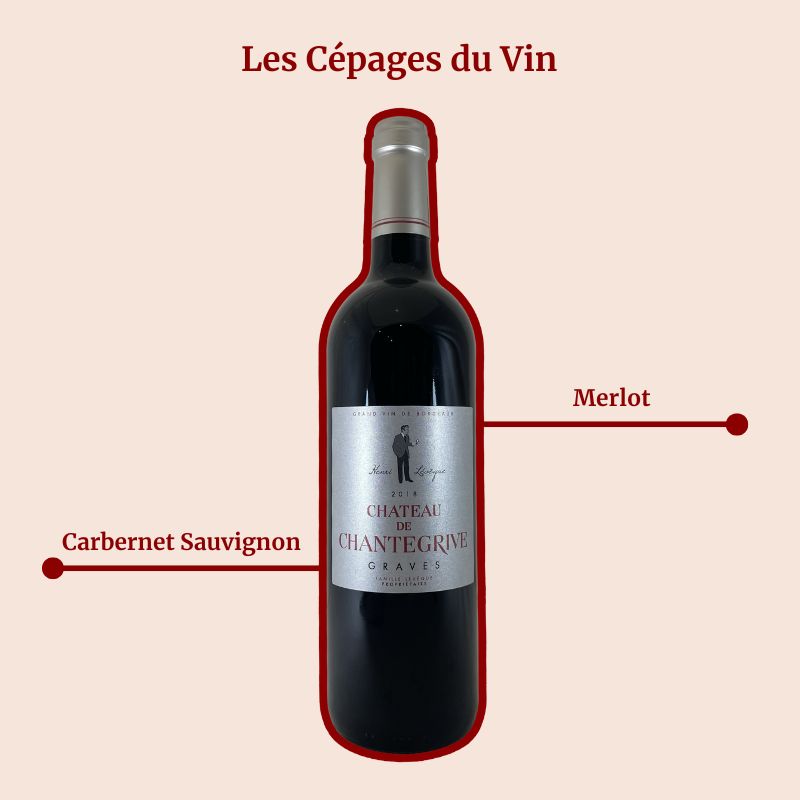 Château de Chantegrive Cuvée Henri Lévèque Cépages