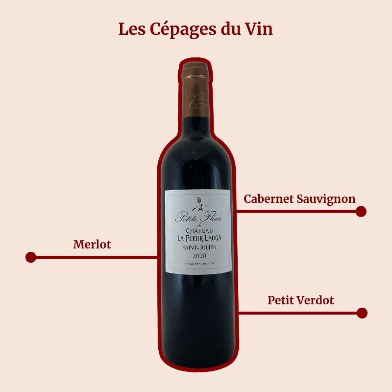 Château de Lauga Petite Fleur du Château La Fleur Lauga Cepages