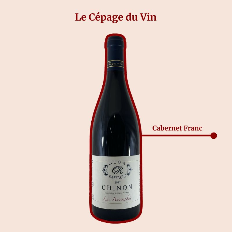 Chinon Les Barnabés Domaine Olga Raffault Cépage