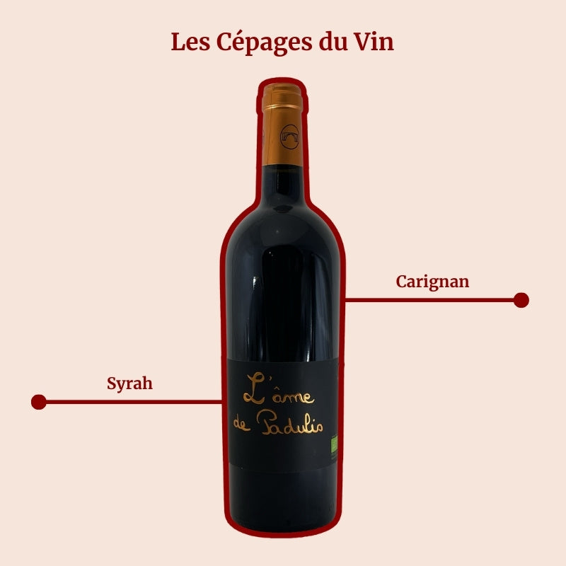 Clos Padulis L'âme de Padulis Cépages