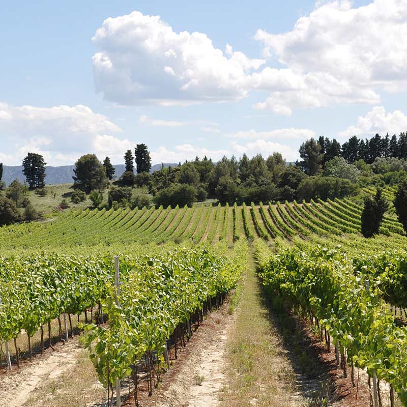 Clos des Fées Image