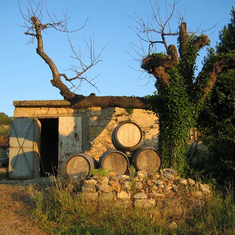 Clos des Nines
