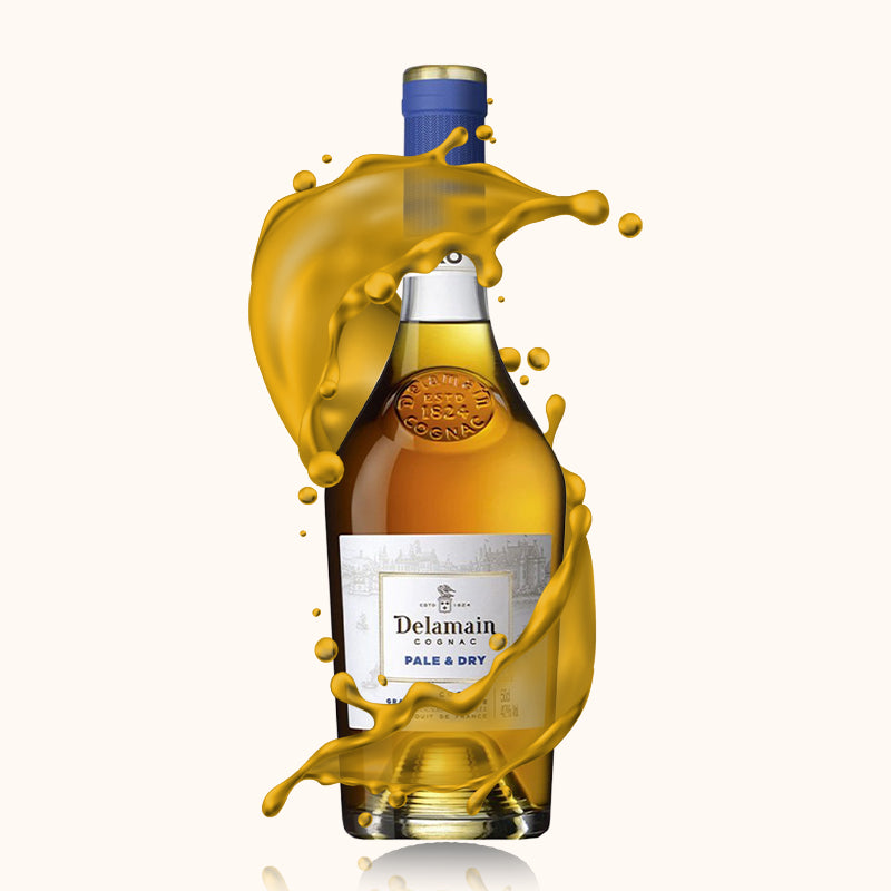 Cognac Delamain Pale & Dry XO bouteille